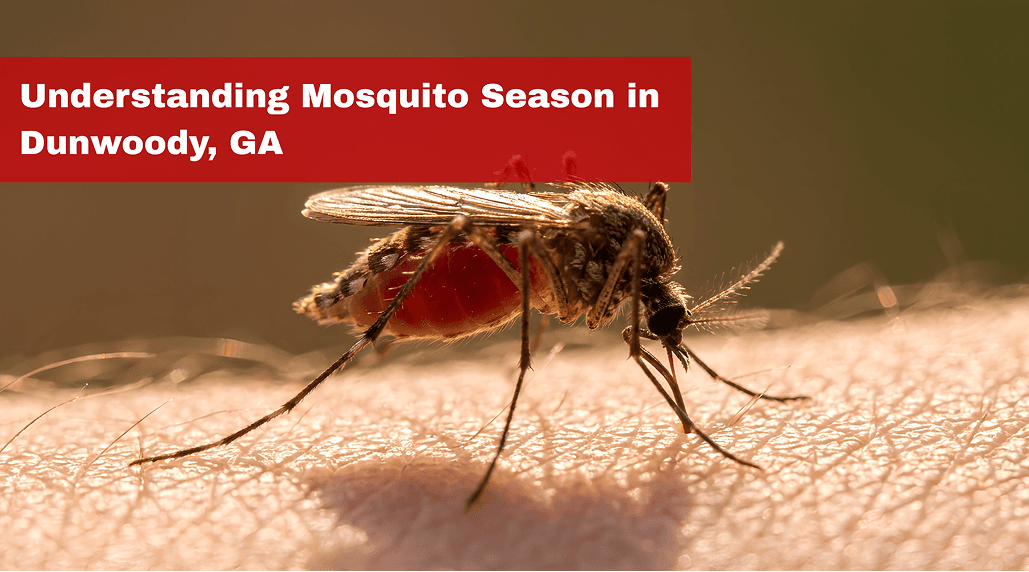 When Is Mosquito Season in Dunwoody, GA?