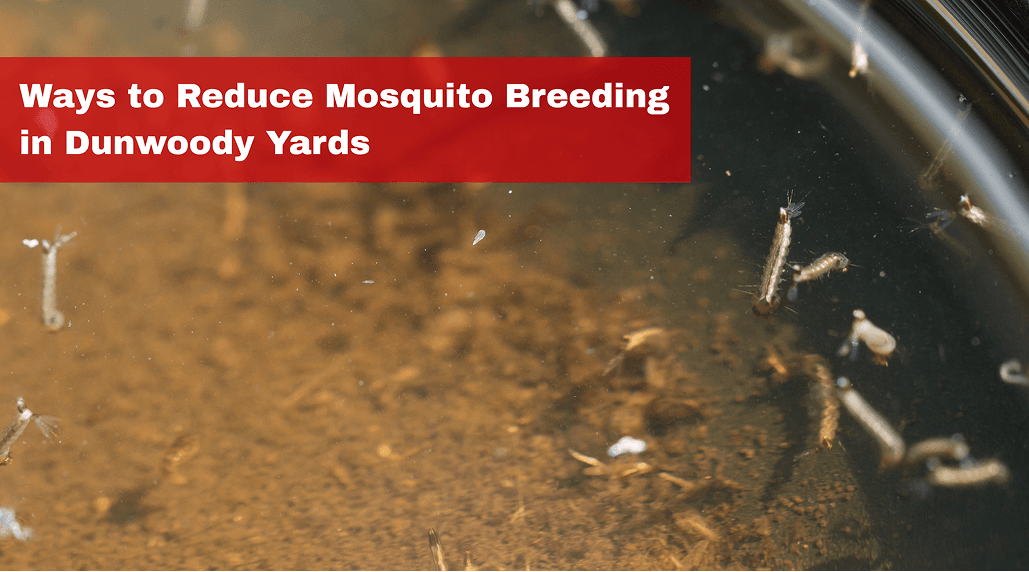 How to Reduce Mosquito Breeding Around Your Dunwoody Home