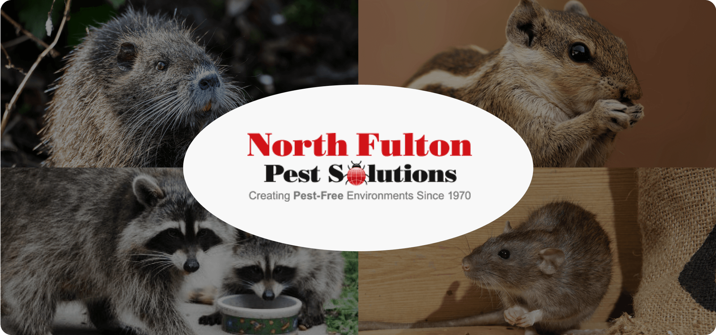 Northfull Pest Solution