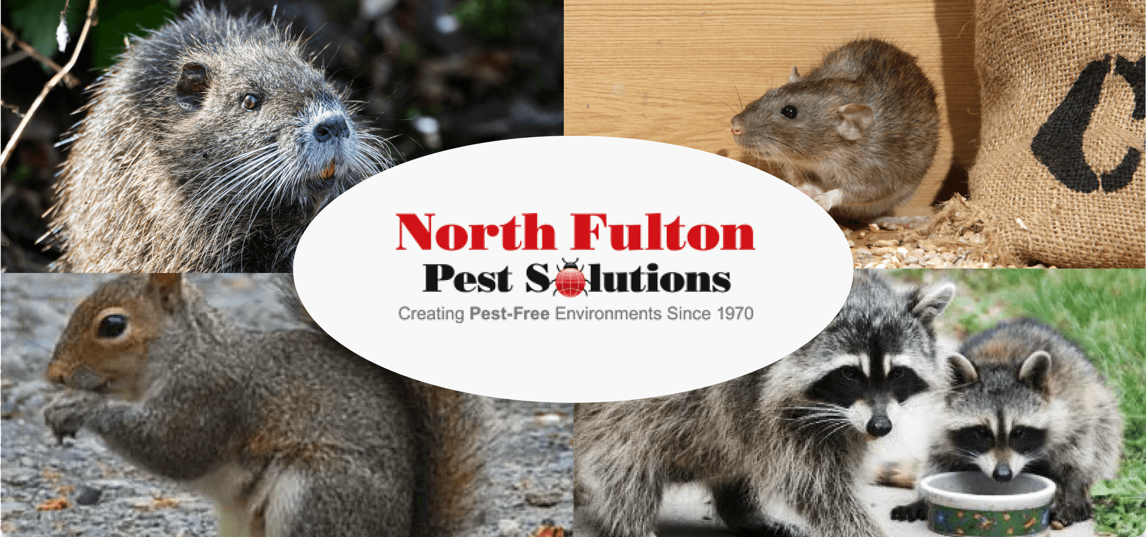 Northfull Pest Solution