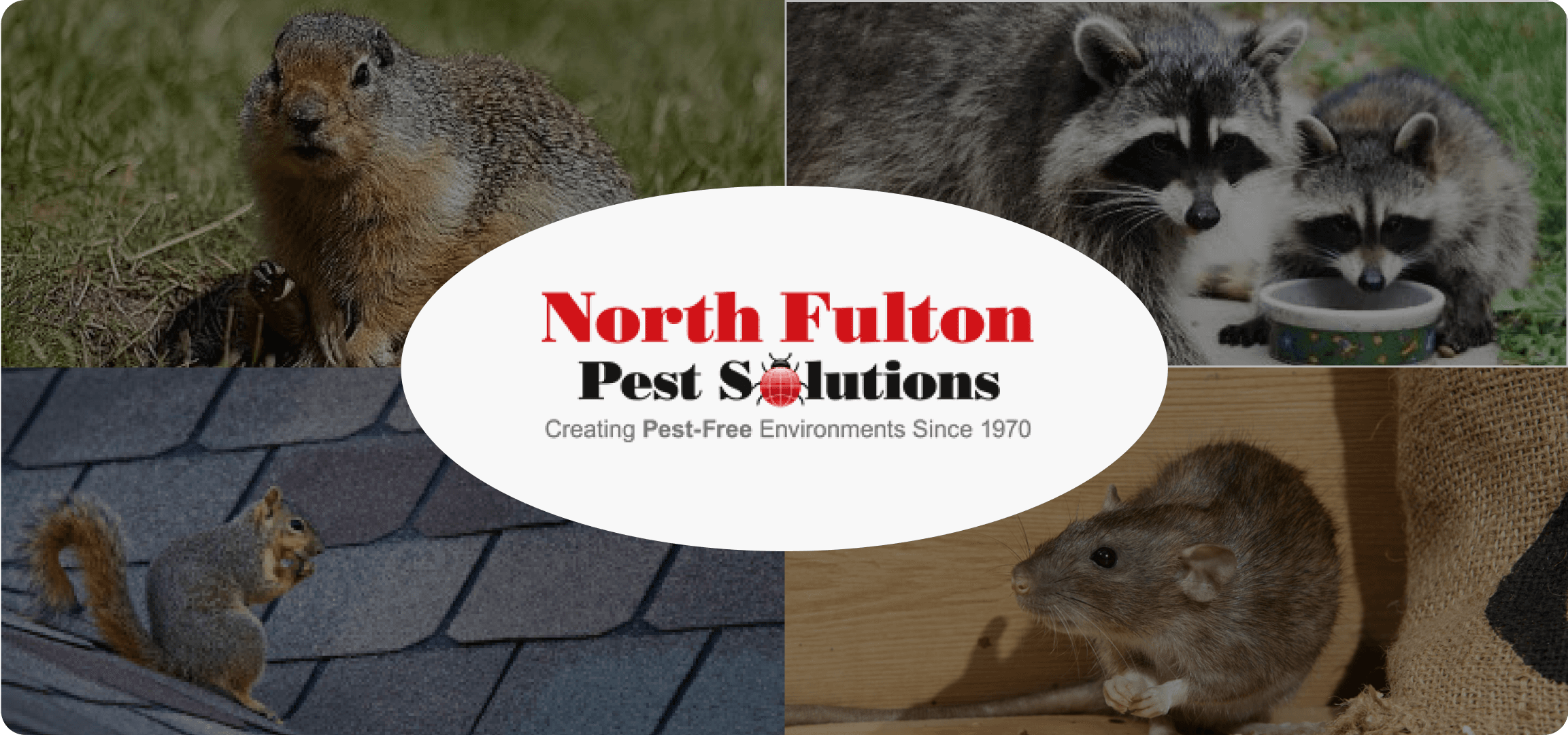 Northfull Pest Solution