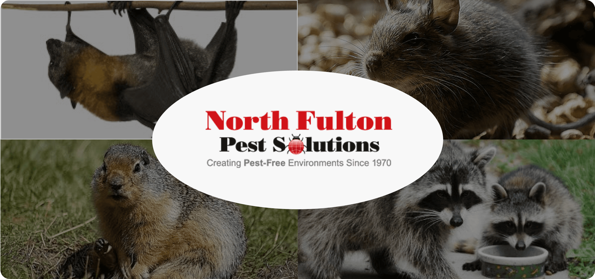 Northfull Pest Solution