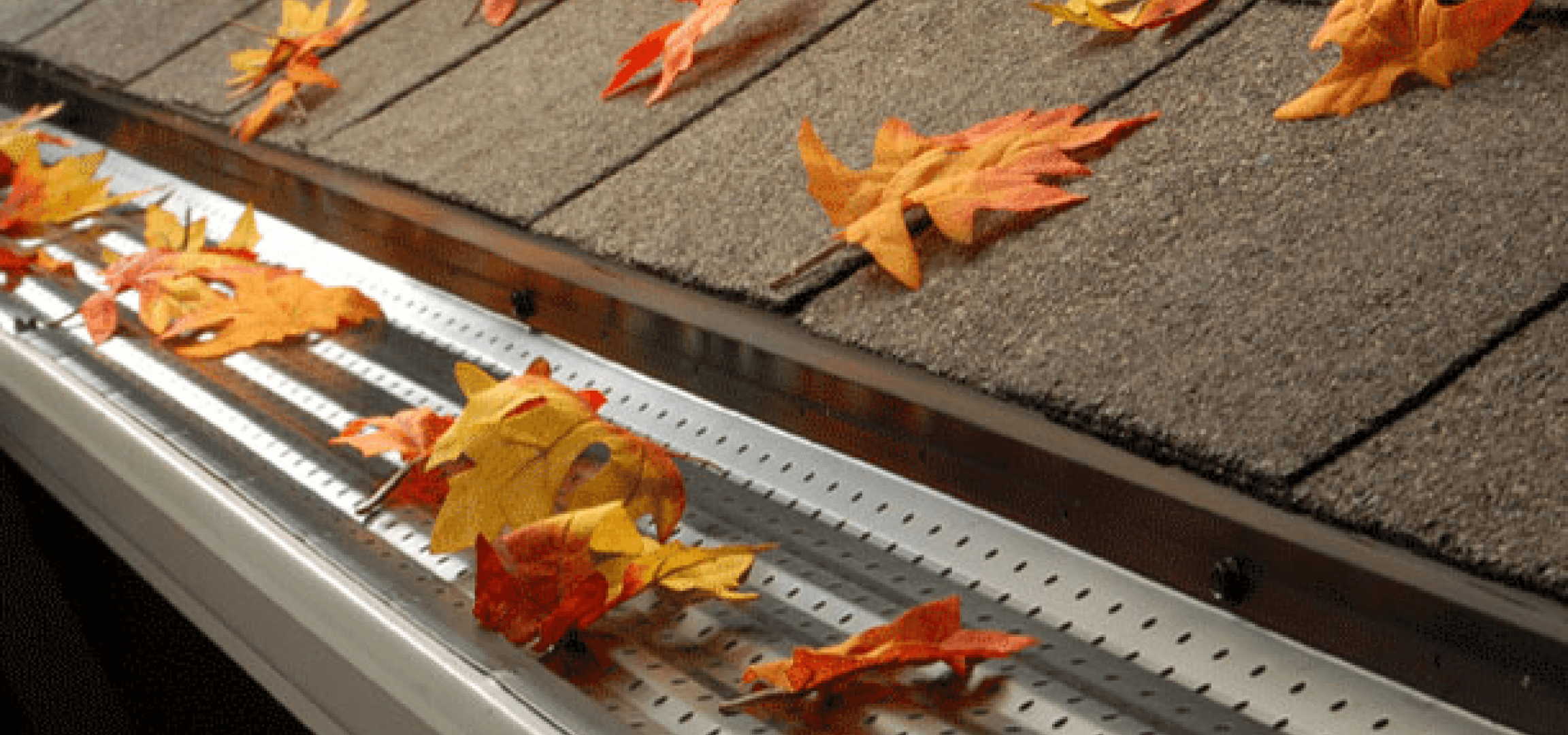 Declutter to Remove Shade + Hidden Water