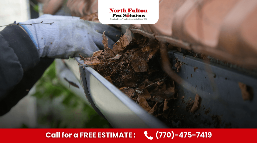 Homeowner clearing leaves from a clogged gutter after a summer storm