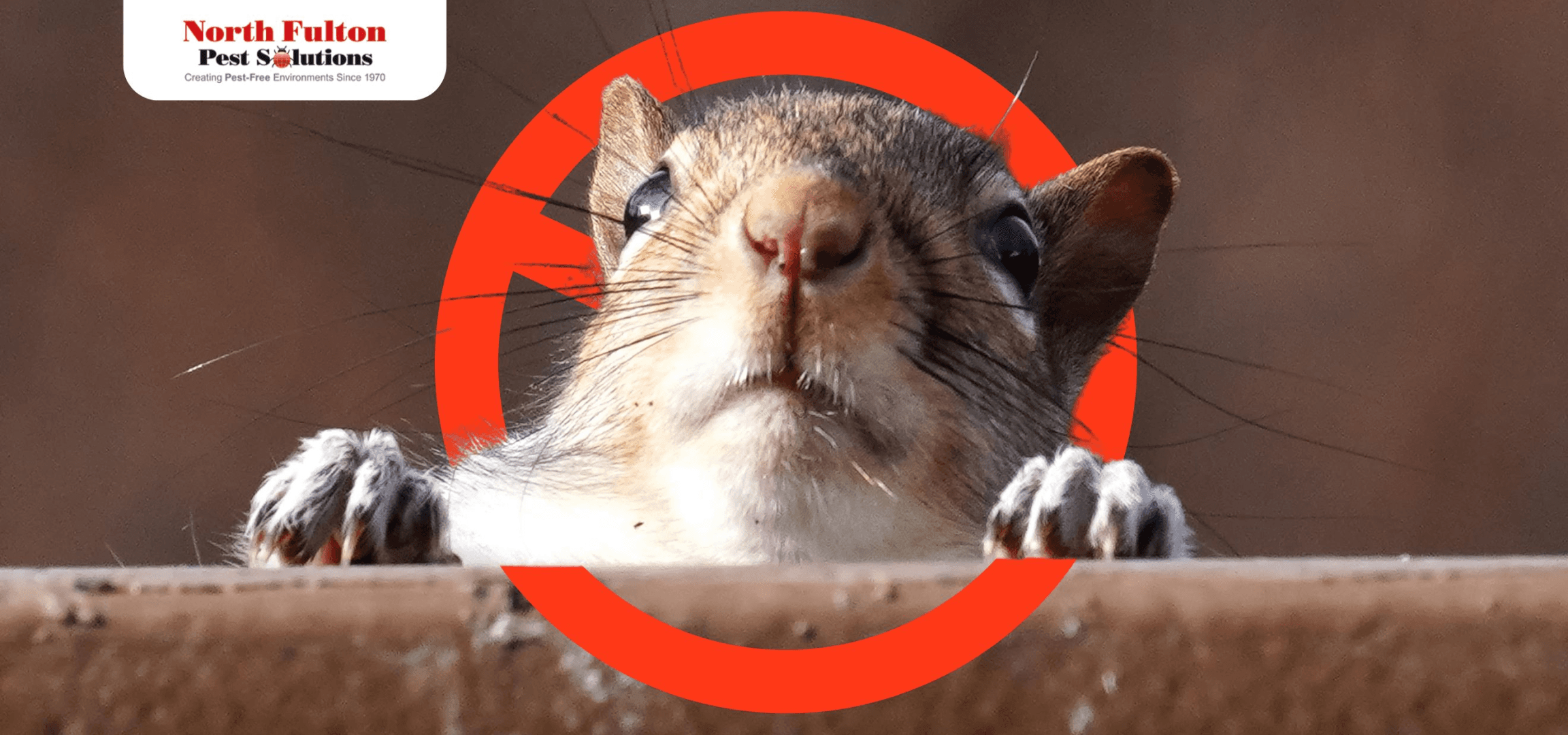 Ants and Roaches Control
