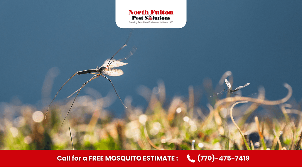 Atlanta Mosquito Season: Why Control Matters Now